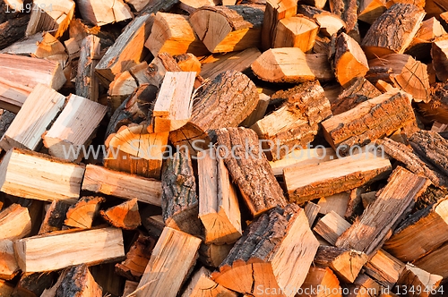 Image of Chopped fire wood ready for winter cold