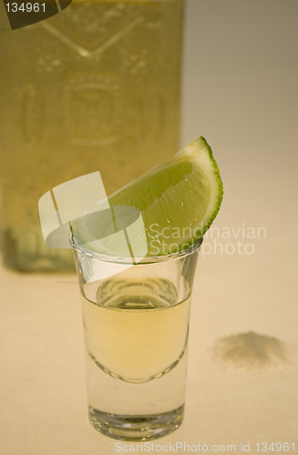 Image of Tequila II