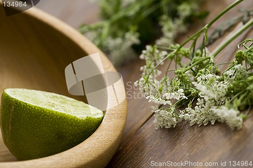 Image of Lime and flowers