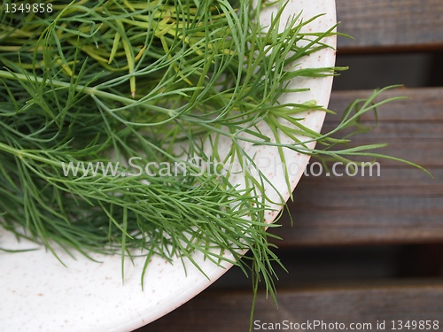 Image of Dill