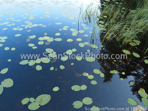 Image of Lake in Finland 