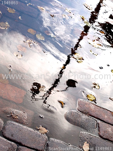 Image of Puddle 