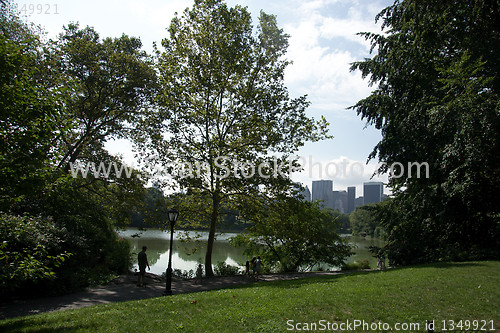 Image of Walk in new york central park