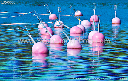 Image of Many buoys