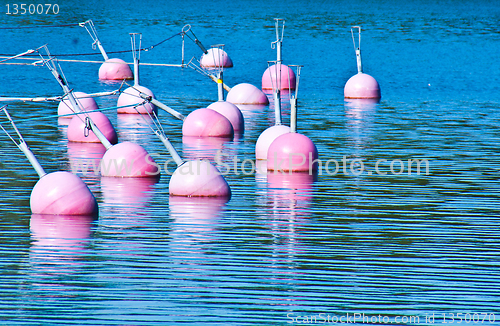 Image of Many buoys