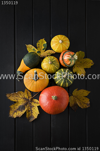 Image of Pumpkins