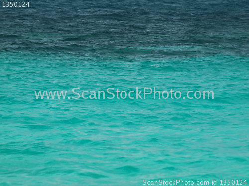 Image of Tropical waters