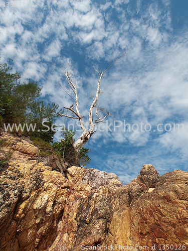 Image of Dramatic beach landscape