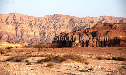 Image of Travel in Arava desert