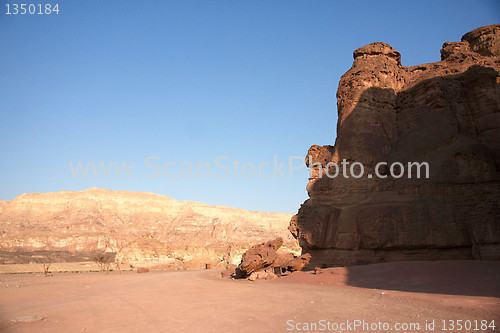 Image of Travel in Arava desert