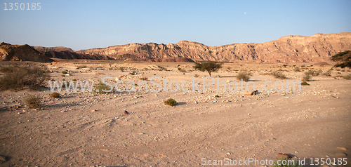 Image of Travel in Arava desert