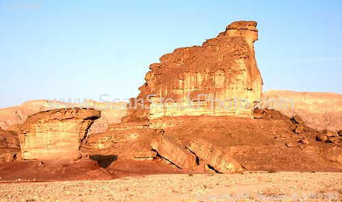 Image of Travel in Arava desert