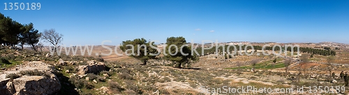 Image of Israel Palestine panorama