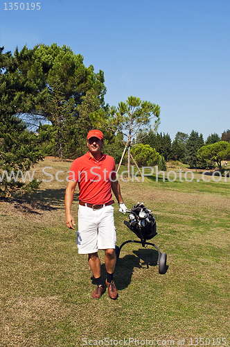 Image of Golf player