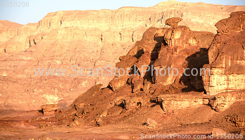 Image of Travel in Arava desert