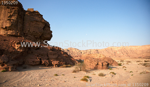Image of Travel in Arava desert