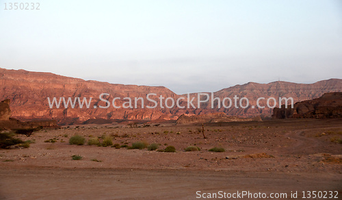 Image of Travel in Arava desert