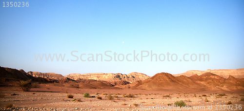 Image of Travel in Arava desert