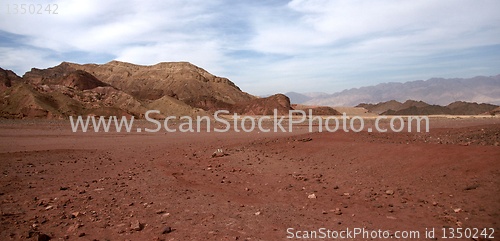 Image of Travel in Arava desert