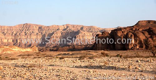 Image of Travel in Arava desert
