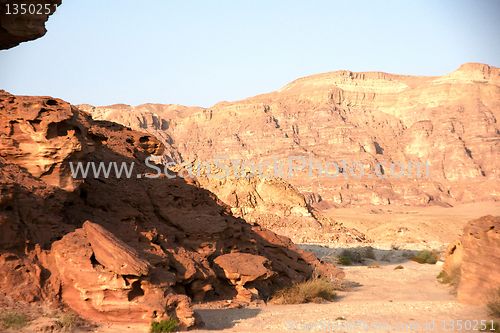 Image of Travel in Arava desert