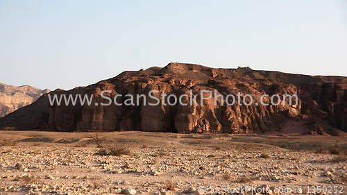 Image of Travel in Arava desert