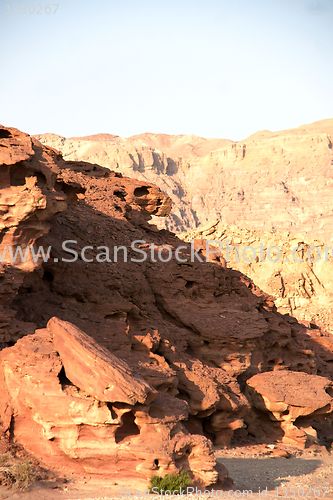 Image of Travel in Arava desert