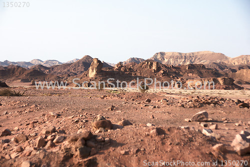 Image of Travel in Arava desert