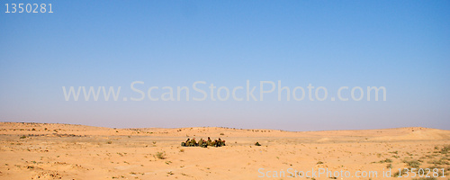 Image of Israeli soldiers excersice in a desert
