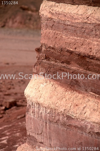 Image of Travel in Arava desert