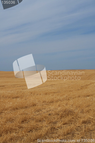 Image of Farmland