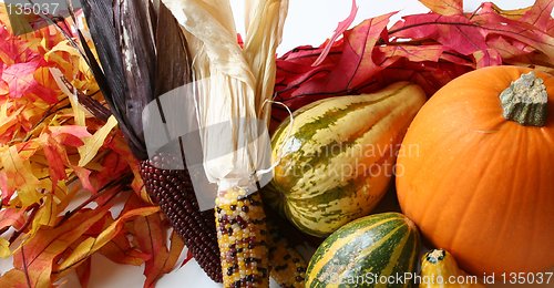 Image of Fall Arrangement