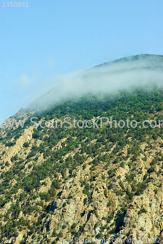 Image of Small cloud born on the top of cliff