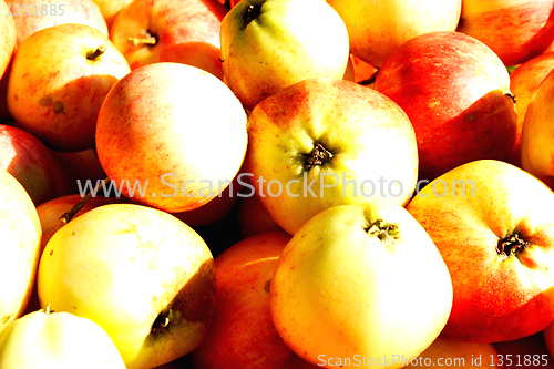 Image of Bunch of apples laying on each others