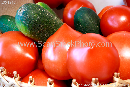 Image of Foto of cucumber and tomatoes laying nearby