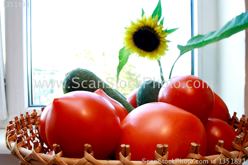 Image of Foto of cucumber and tomatoes and sunflower