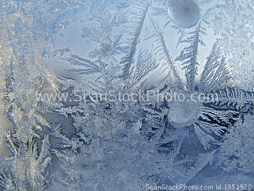 Image of winter glass