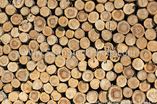 Image of firewood