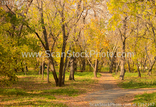 Image of park