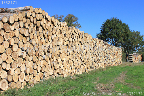 Image of firewood