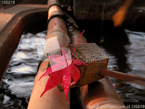 Image of Autumn Japanese still life