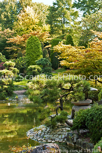 Image of Japanese Garden