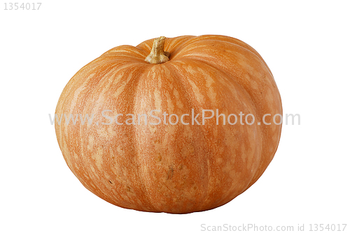 Image of Whole orange ripe pumpkin