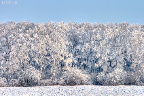 Image of Winter landscape