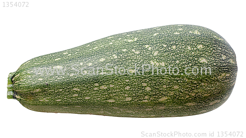 Image of Vegetable Marrow
