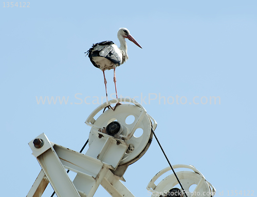 Image of Stork perched on a machine