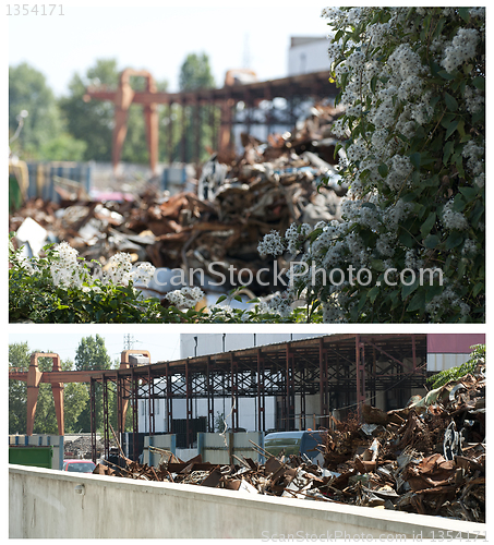 Image of Flowers and piles of scrap iron