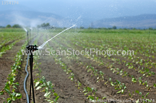 Image of Irrigation
