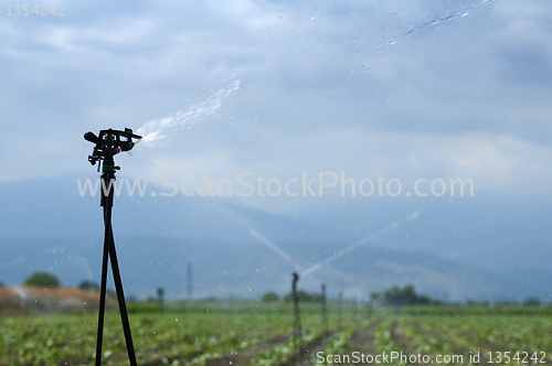 Image of Irrigation