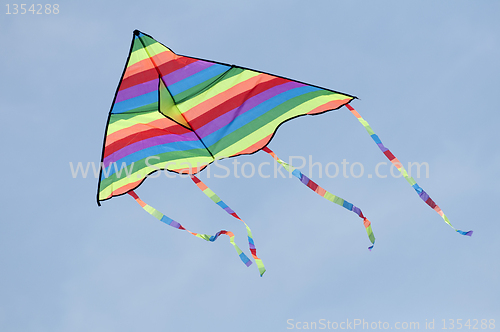 Image of Multicolored kite